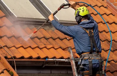 Démoussage et hydrofuge de toiture à Écotay-l'Olme